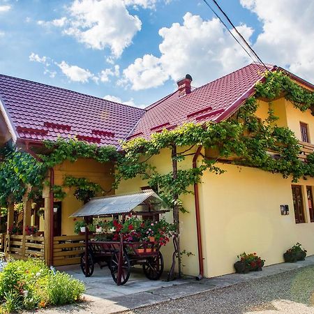 Отель Casa Andreea Сучевица Экстерьер фото