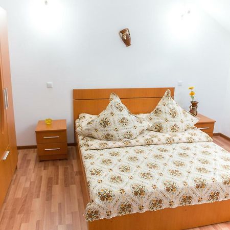 Отель Casa Andreea Сучевица Экстерьер фото