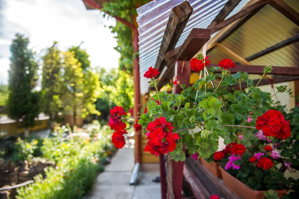 Отель Casa Andreea Сучевица Экстерьер фото