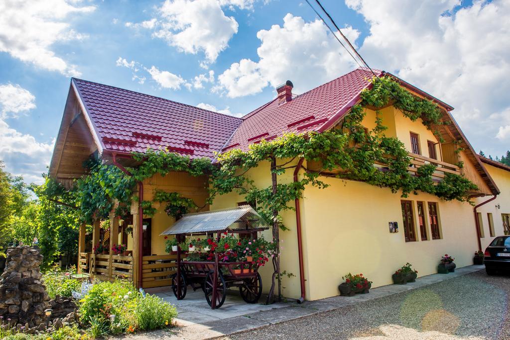 Отель Casa Andreea Сучевица Экстерьер фото