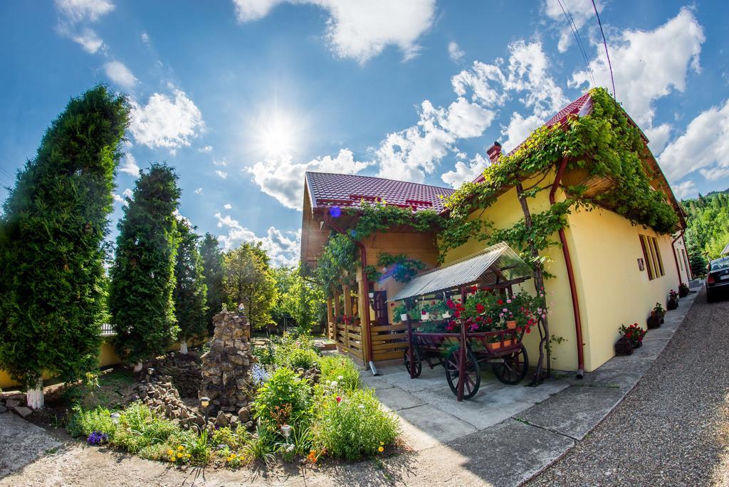 Отель Casa Andreea Сучевица Экстерьер фото